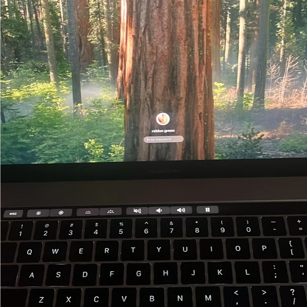 Apple Laptop with Black and Gray Finish MacBook 2019